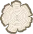AboutOld Us icon